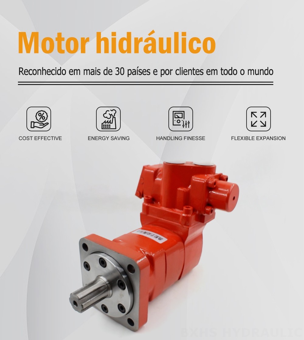 Motor de Válvula Direcional Manual BM5 160 cc/r 75 Lpm Motor hidráulico
